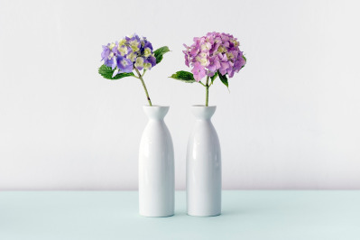 ceramic vase pastel
